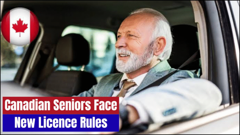 New Canadian Driving Regulations: Renew Licences by 25 Nov 2025 or Face Suspension