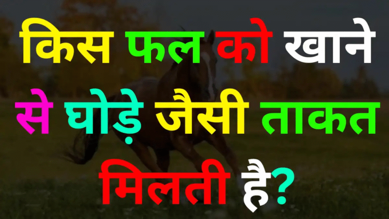 GK In Hindi: किस फल से मिलती है घोड़े जैसी ताकत? सही जवाब देखें